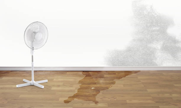 Best Professional water damage repair  in Hillburn, NY