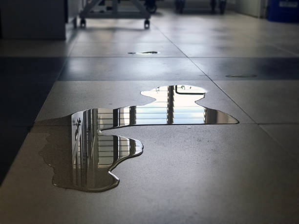 Best Water damage restoration company  in Hillburn, NY