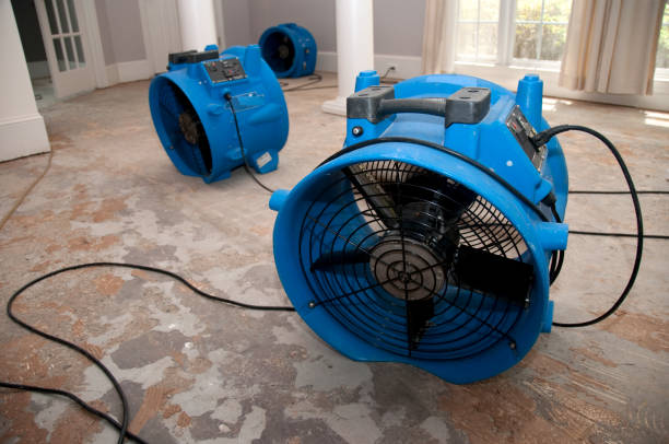 Best Basement water damage restoration  in Hillburn, NY